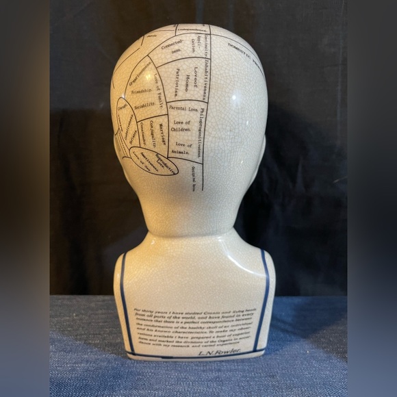 Phrenology Bust by LN Fowler. Crackle Finish 9”t - Picture 3 of 6